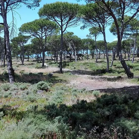 Casa Rio Da Prata Alpesi faház *